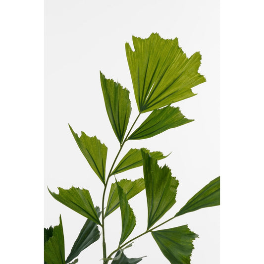 Plante artificielle de palmier de la queue de poisson en pot - H150 x Ø100 cm - vert