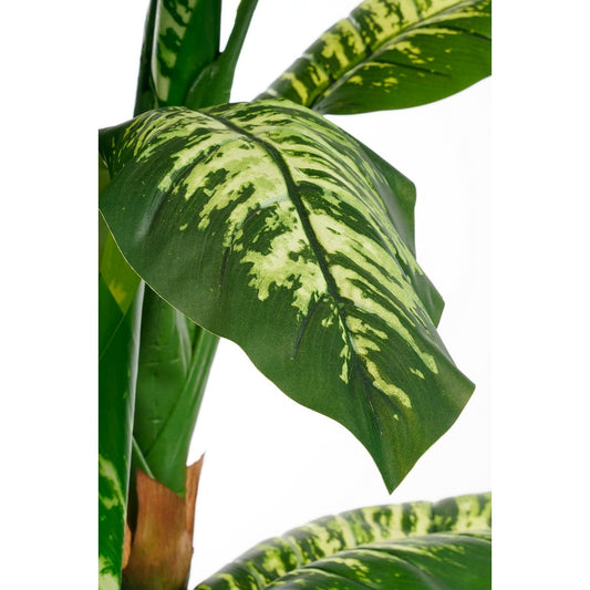 Dieffenbachia Kunstplant - H150 x Ø70 cm