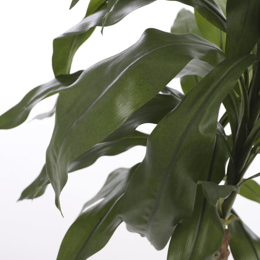 Plante Artificielle Dracaena - H100 x Ø70 cm