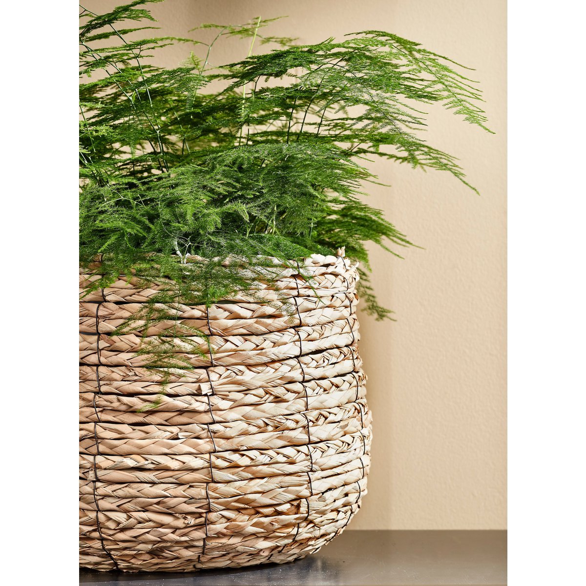 Panier à Plantes Avalon - Lot de 3 - H31 x Ø30 cm - Jonc de Mer - Marron clair