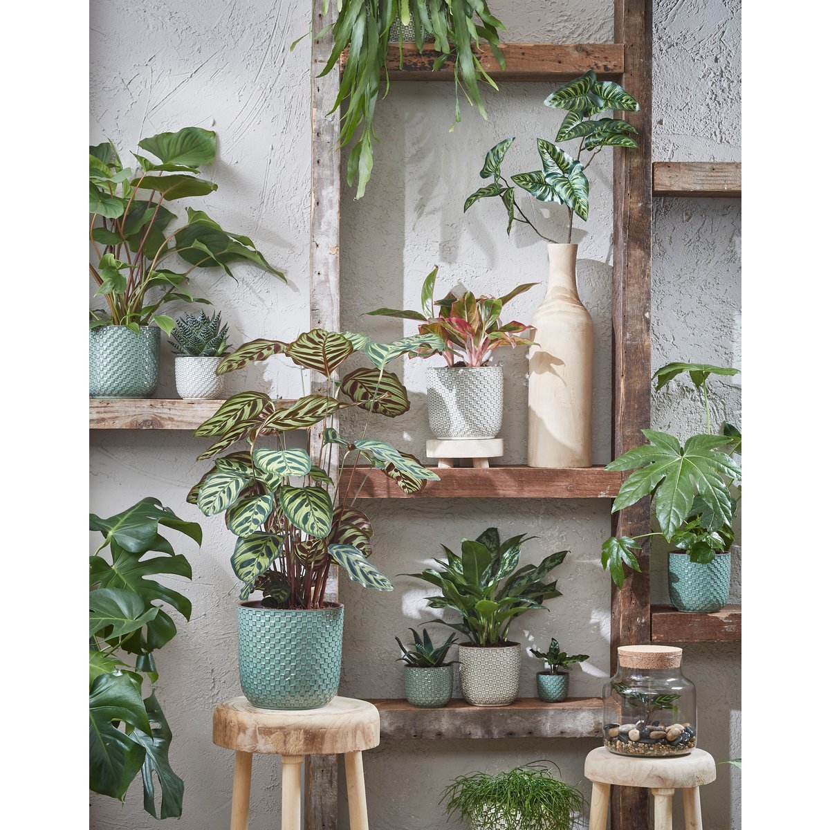 Pot de Fleurs Daan / H21 x Ø22 cm - Vert