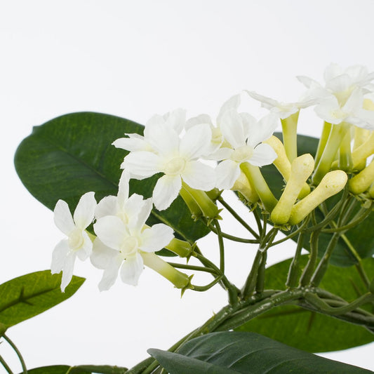 Plante Artificielle Stephanotis en Pot de Fleur Stan - H50 x Ø40 cm - Blanc