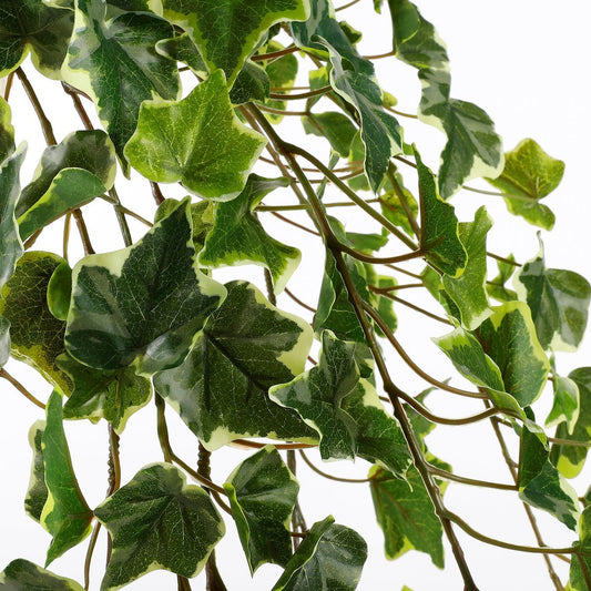 Plante Artificielle Suspendue Hedera - H129 cm - Panachée Verte