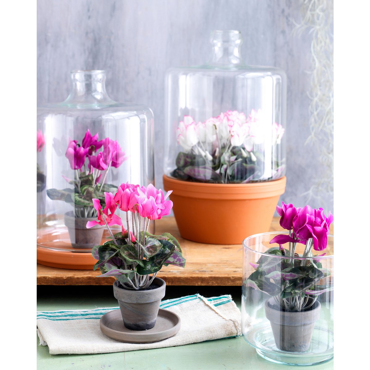 Artificial Cyclamen Plant in Stan Flower Pot - H30 x Ø30 cm - Dark Pink