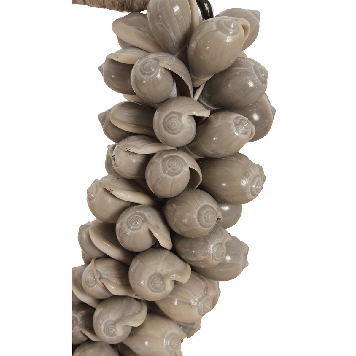 Collier petit coquillage J66