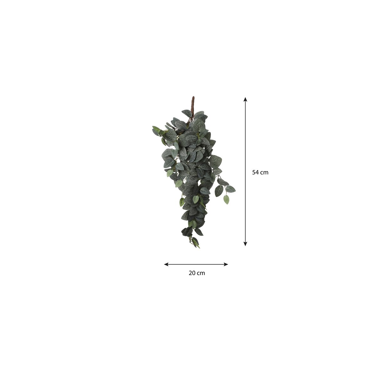 Plante Artificielle Suspendue Fittonia - L15 x L20 x H54 cm - Vert