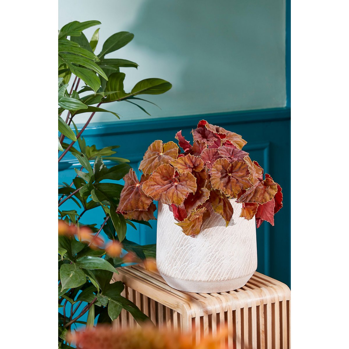 Table Plante Yonker - Lot de 2 - L35 x l25 x H80 cm - Bois recyclé - Marron