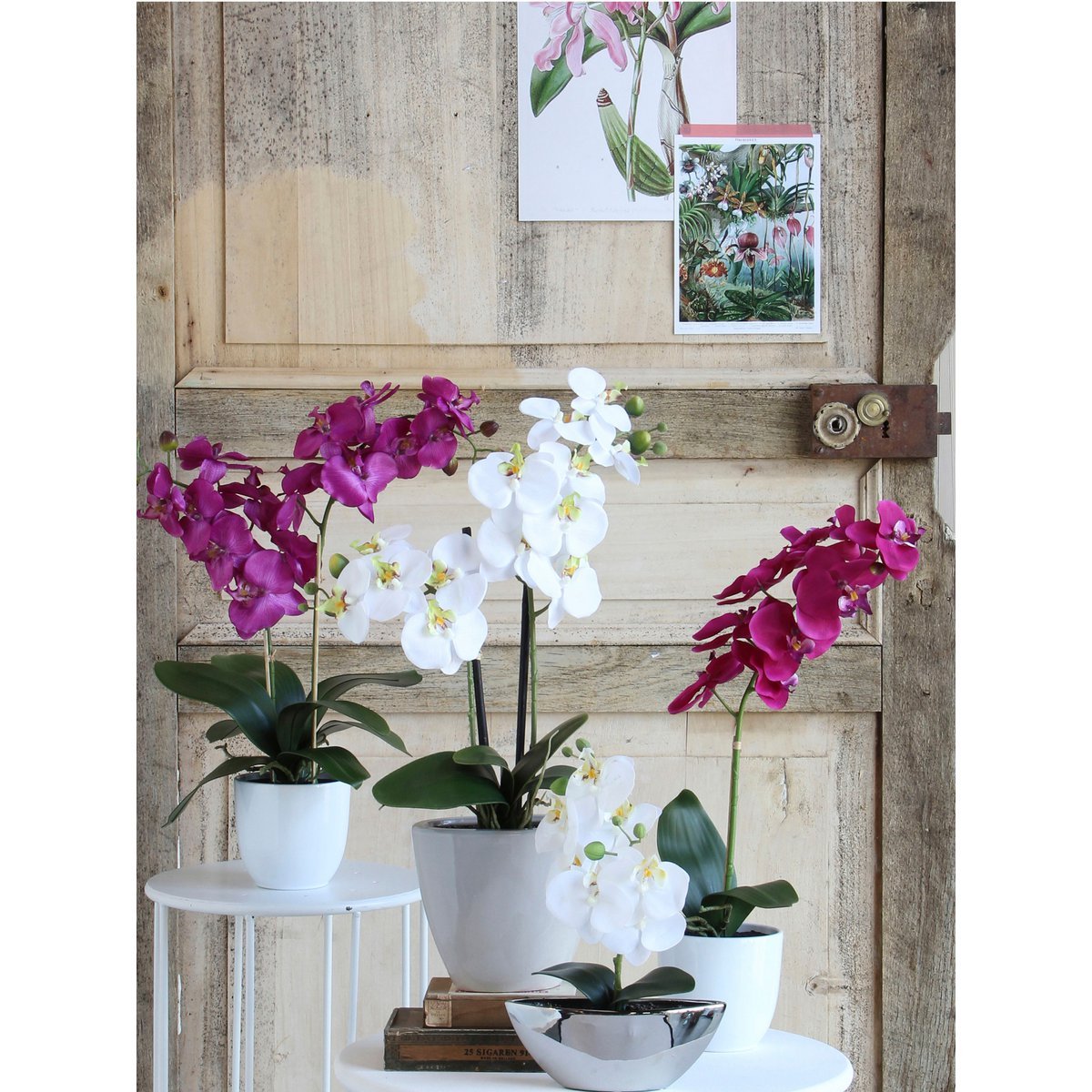 Plante Phalaenopsis Artificielle en Pot de Fleur Tusca - H60 x Ø16 cm - Violet