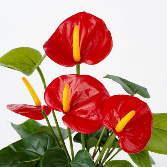 Plante Anthurium Artificielle en Pot de Fleur Stan - H38 x Ø30 cm - Rouge