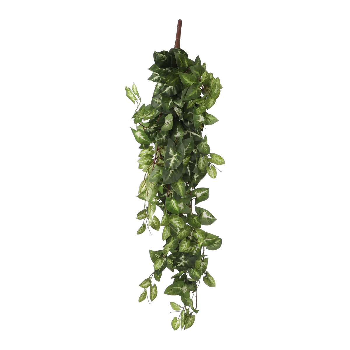 Plante Artificielle Suspendue Fittonia - L15 x L30 x H80 cm - Vert