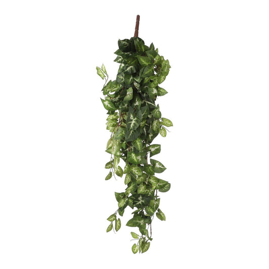 Plante Artificielle Suspendue Fittonia - L15 x L30 x H80 cm - Vert