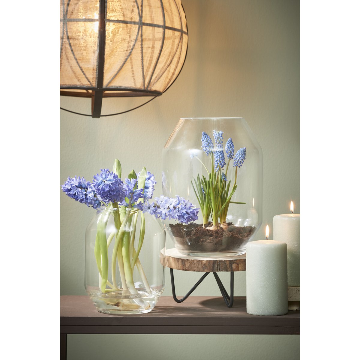 Vase Dali / H33 x Ø25 cm - Transparent