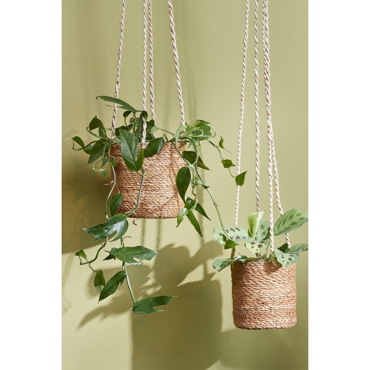 Panier à Plantes Atlantic - Lot de 2 - H16 x Ø16 cm - Marron clair