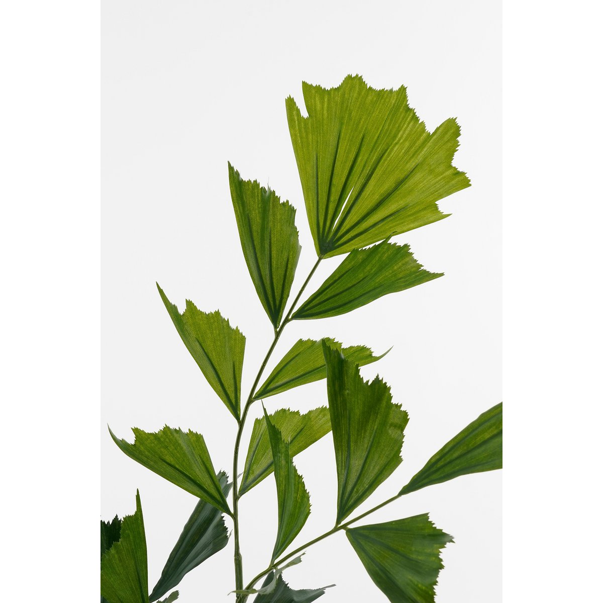 Plante artificielle de palmier de la queue de poisson en pot - H150 x Ø100 cm - vert