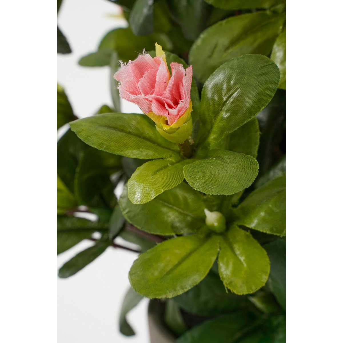 Plante Azalée Artificielle en Pot de Fleur Stan - H31 x Ø26 cm - Pêche