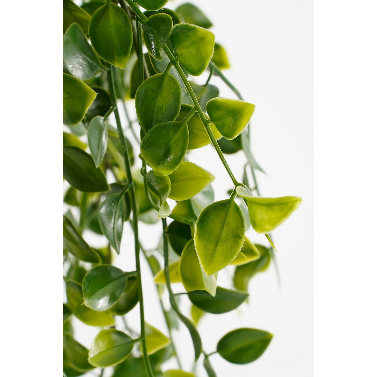 Plante Artificielle Ficus Suspendue en Pot - H46 x Ø20 cm - Vert