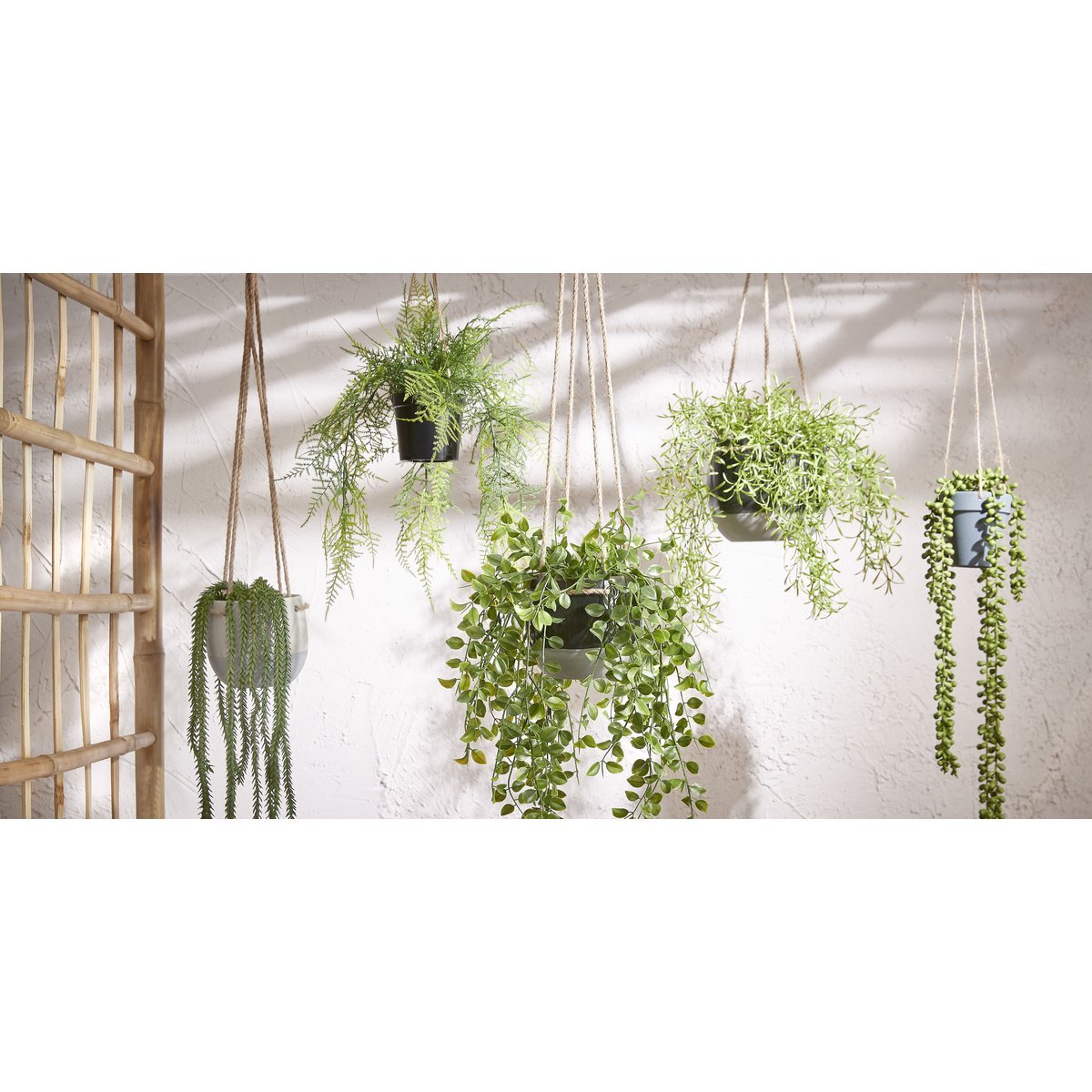 Plante Artificielle Suspendue Senecio - H56 x Ø9 cm - Vert