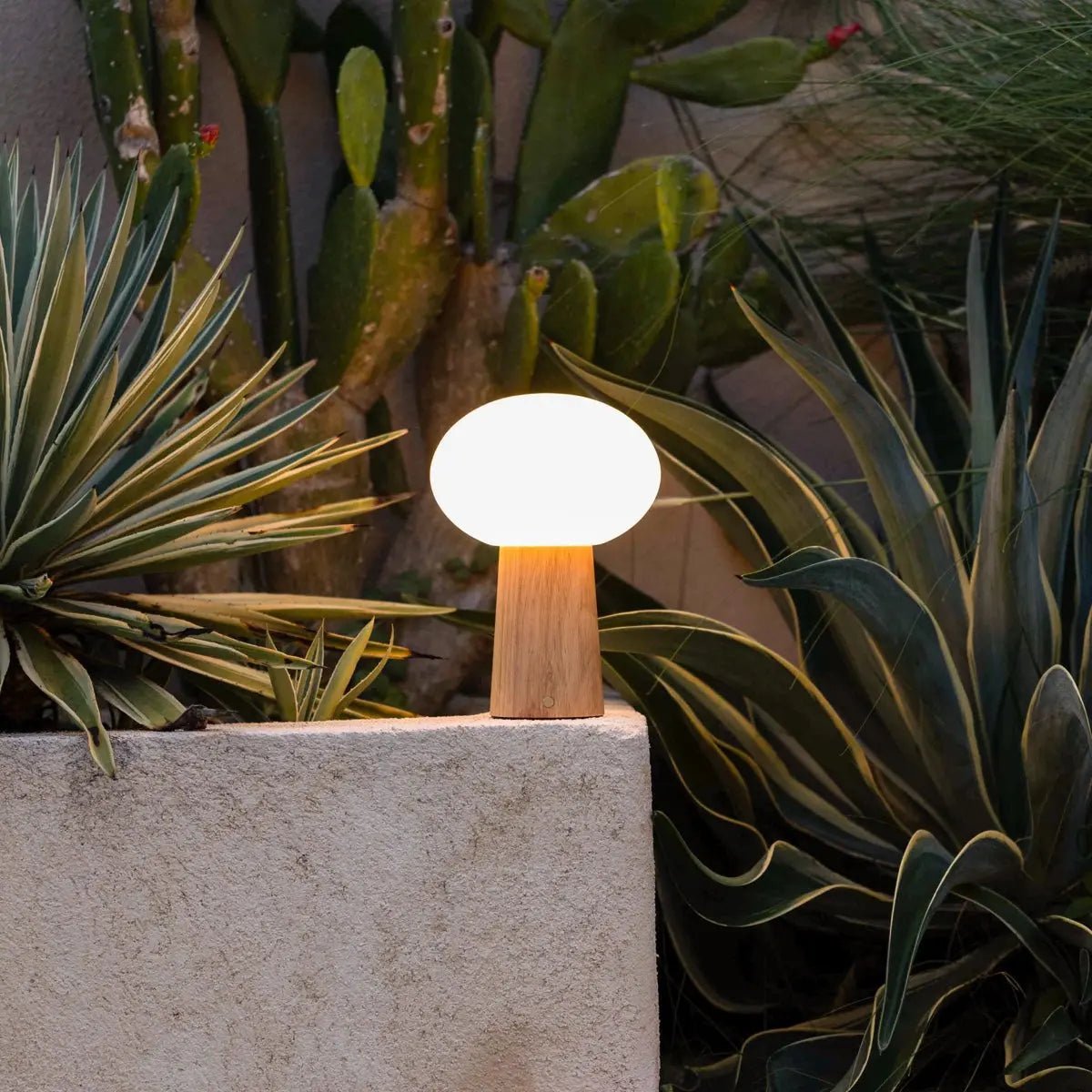 Lampe de table rechargeable en bois marron clair maximum avec verre et batterie rechargeable | Éclairage dimmable et polyvalent