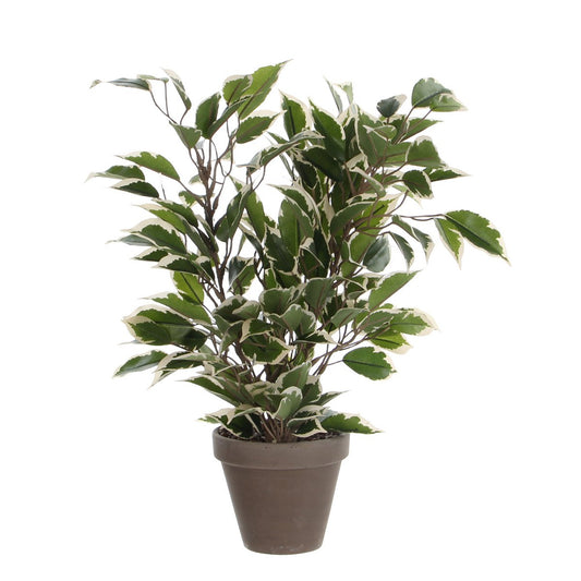 Ficus Natasja Plante Artificielle en Pot de Fleur Stan - H40 x Ø30 cm - Vert Panaché