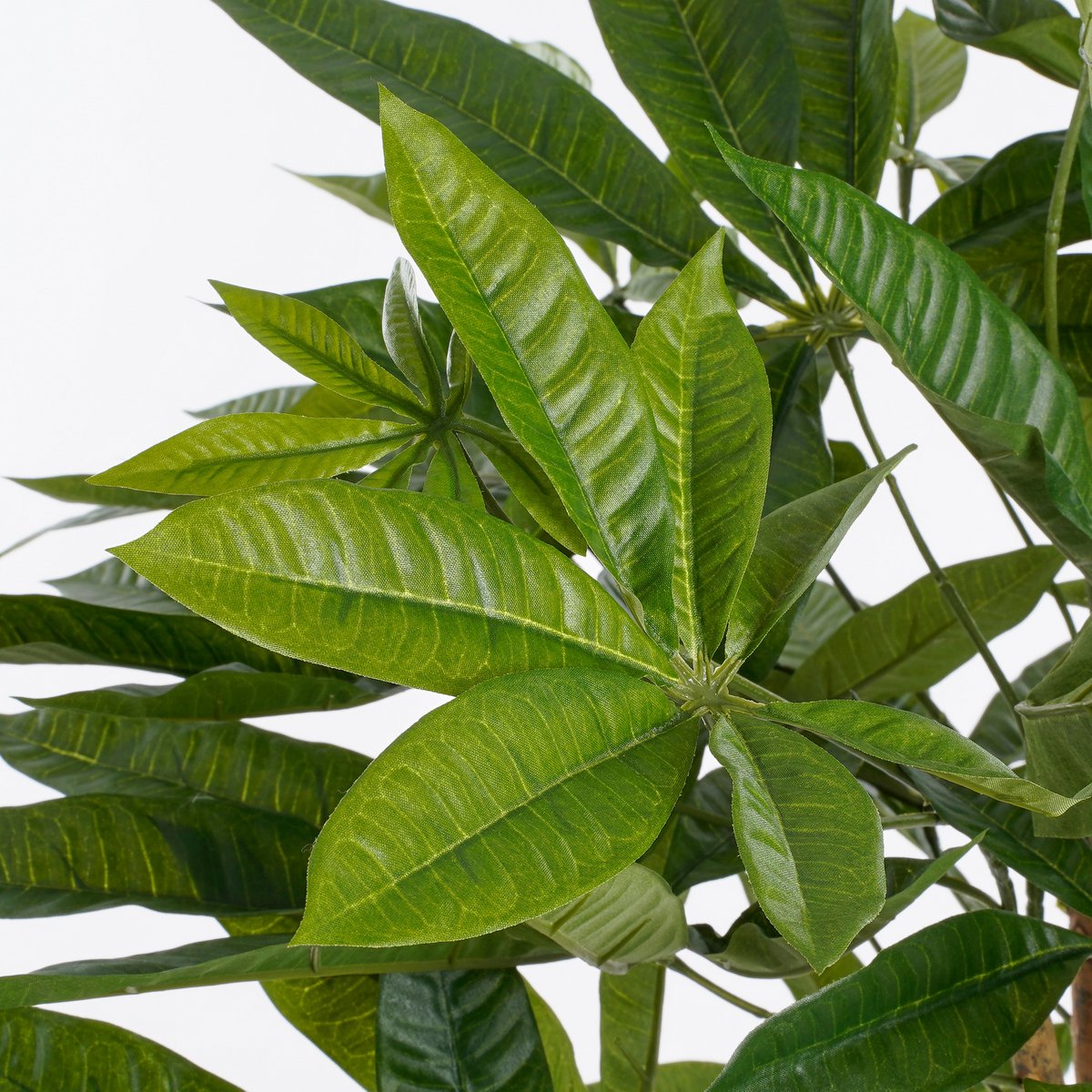 Plante Artificielle Pachira - H80 x Ø60 cm - Vert