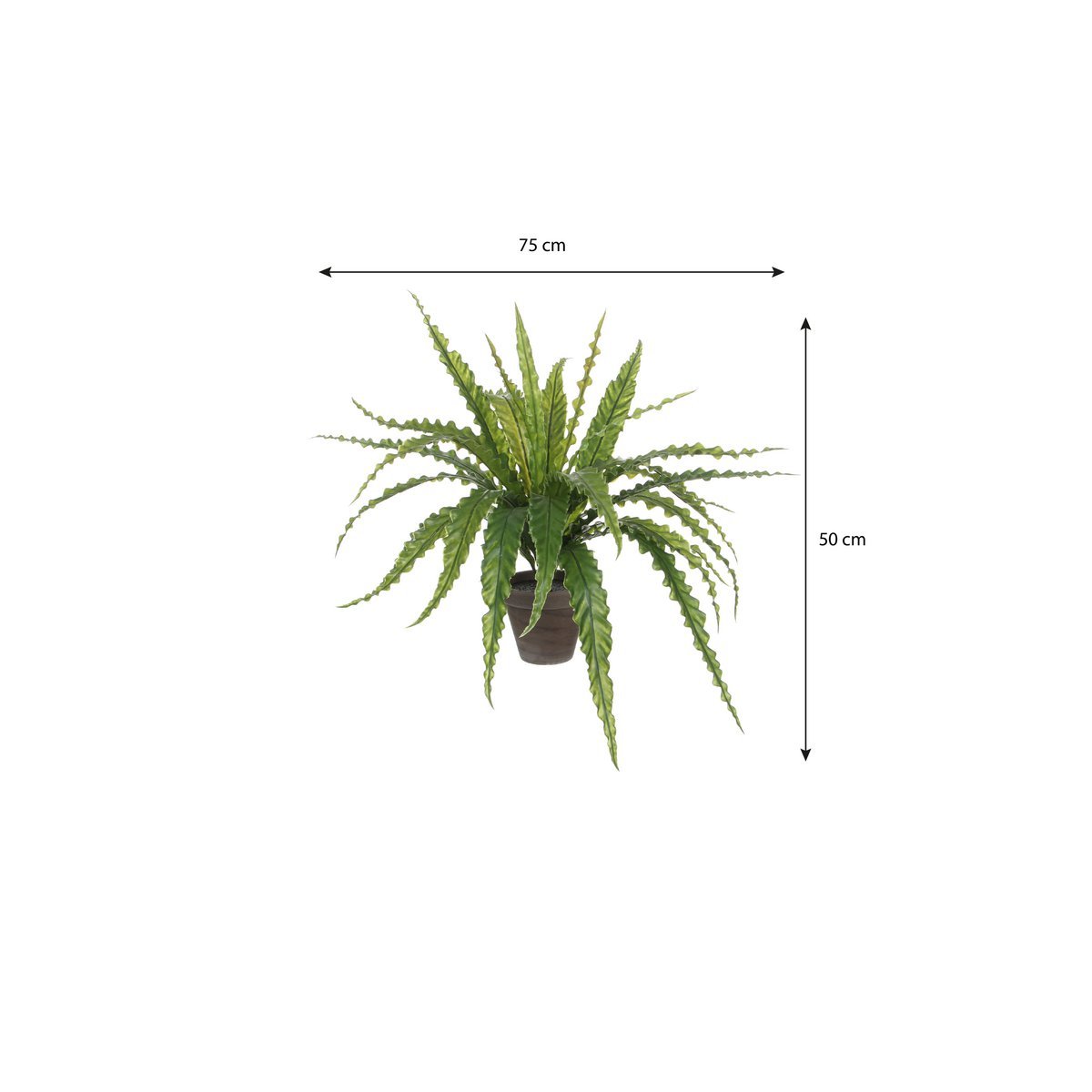 Plante Artificielle Asplenium en Pot de Fleur Stan - H54 x Ø66 cm - Vert