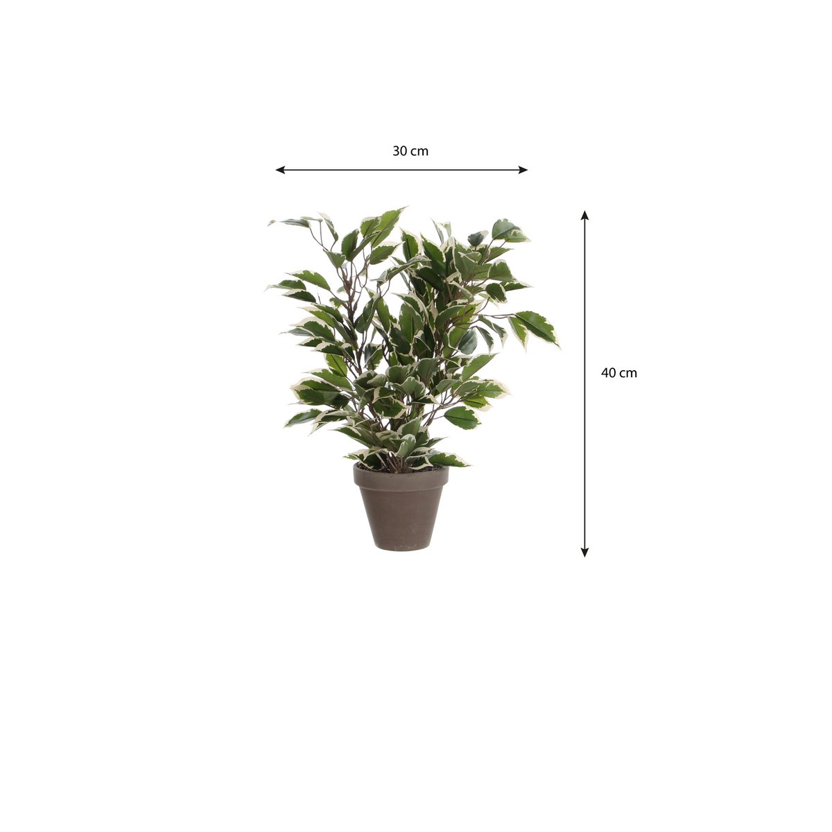 Ficus Natasja Plante Artificielle en Pot de Fleur Stan - H40 x Ø30 cm - Vert Panaché