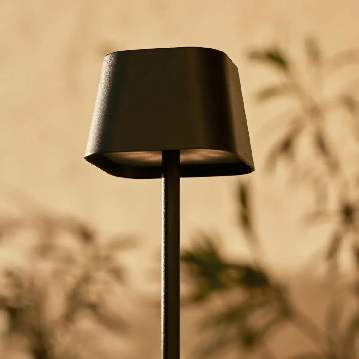 Lampe de table rechargeable noire Ava | Solution d'éclairage sans fil élégante