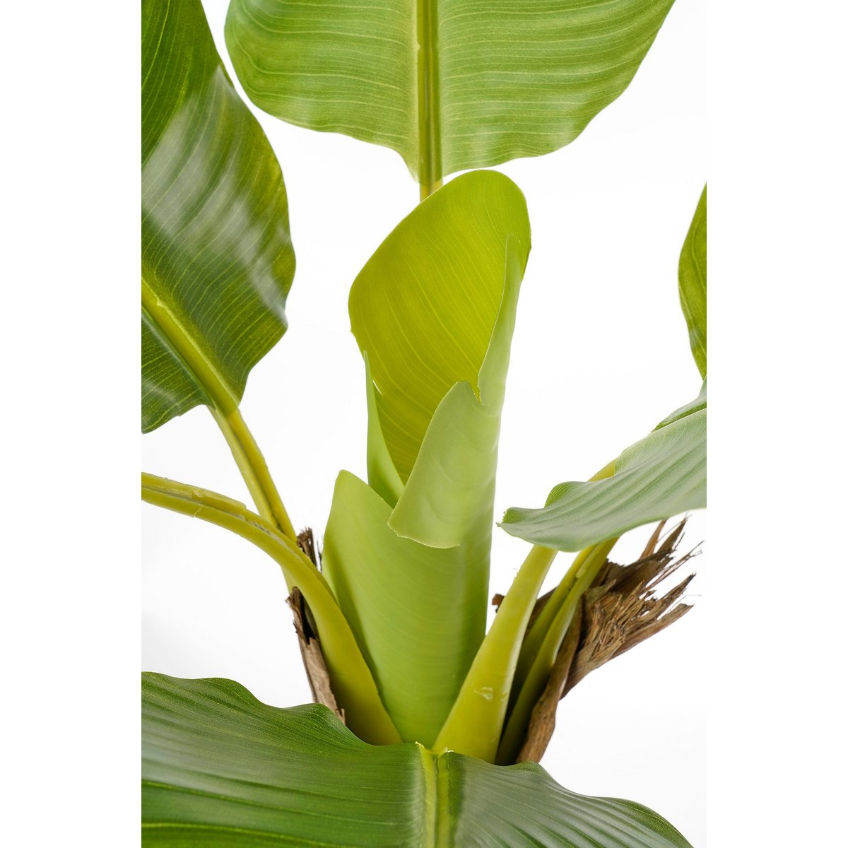 Art Banana Plant - H120 X Ø70 cm - vert