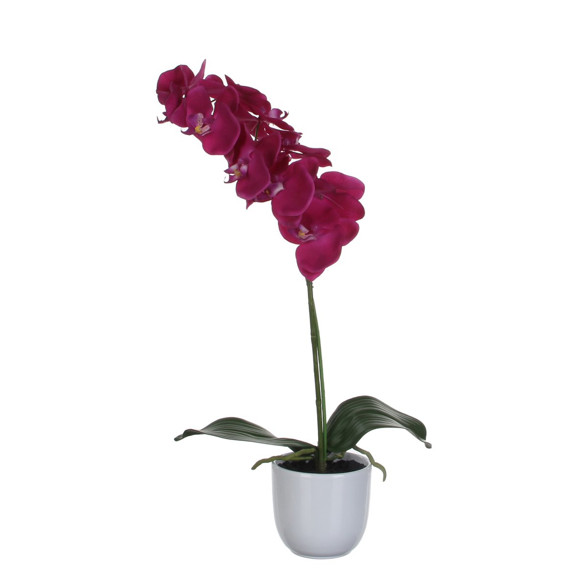 Plante Phalaenopsis Artificielle en Pot de Fleur Tusca - H60 x Ø16 cm - Violet