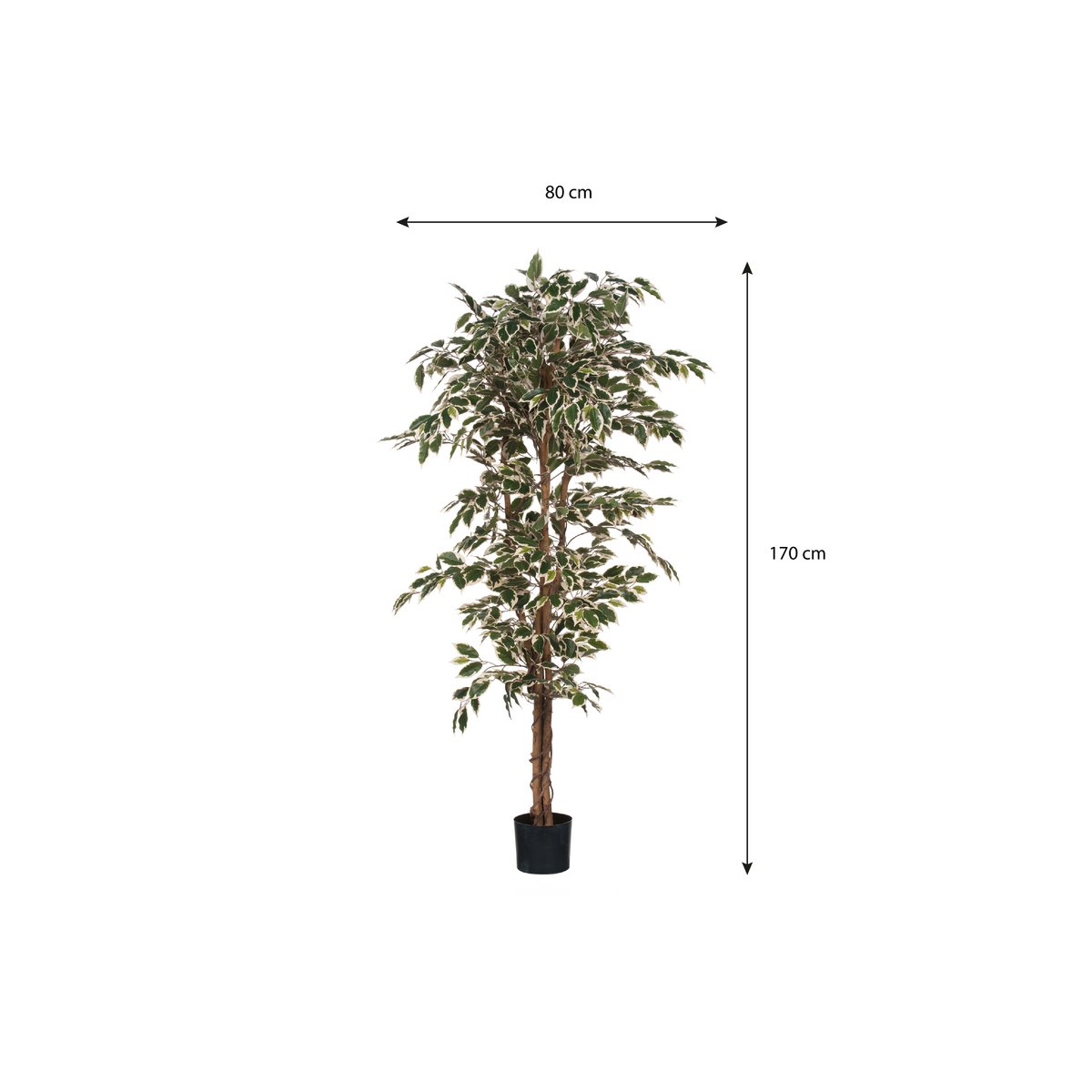 Plante Ficus Artificielle - H180 x Ø90 cm - Panaché Vert