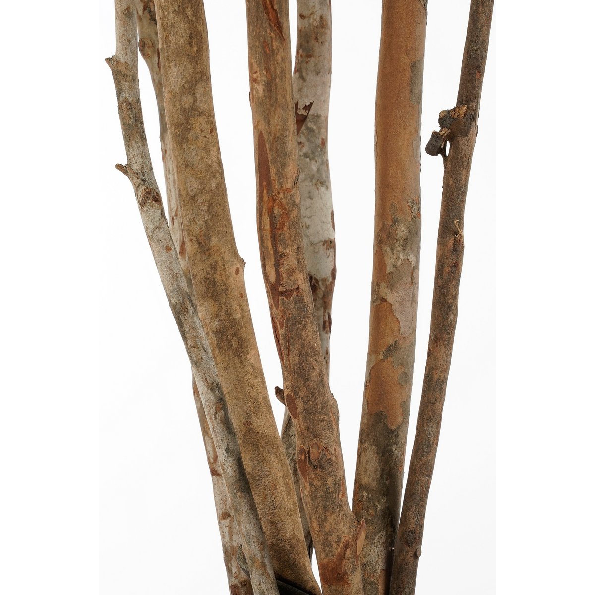 Populier Plant artificiel - H110 X Ø60 cm - vert