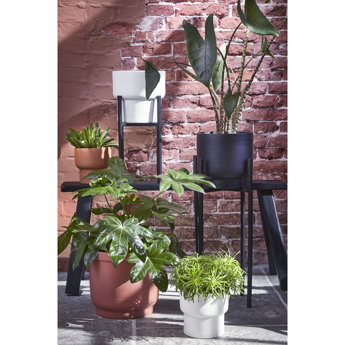 Support pour Plantes Ascot XL - L38 x L38 x H71 cm - Métal - Noir