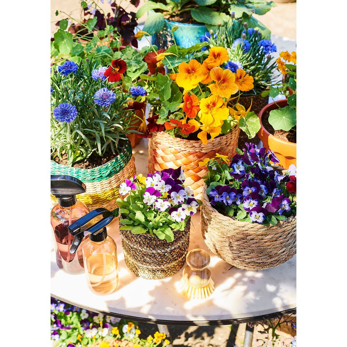 Corbeille à Plantes Jorck / H19 x Ø22 cm - Jonc de Mer - Marron clair