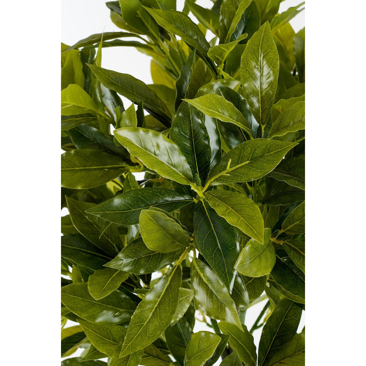 Plant artificiel de Laurel Tree - H120 X Ø40 cm - vert
