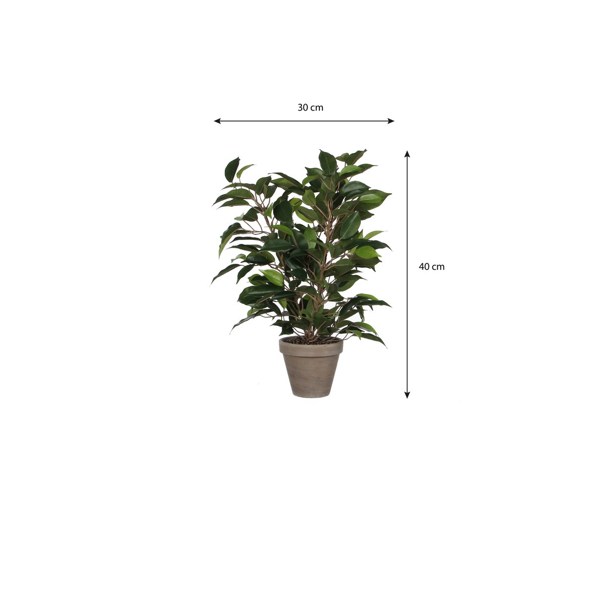 Ficus Natasja Plante Artificielle en Pot de Fleur Stan - H40 x Ø30 cm - Vert