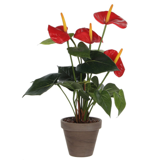 Plante Anthurium Artificielle en Pot de Fleur Stan - H38 x Ø30 cm - Rouge