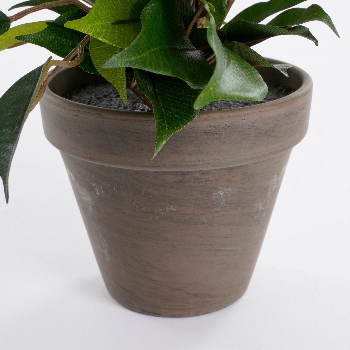 Ficus Natasja Plante Artificielle en Pot de Fleur Stan - H40 x Ø30 cm - Vert