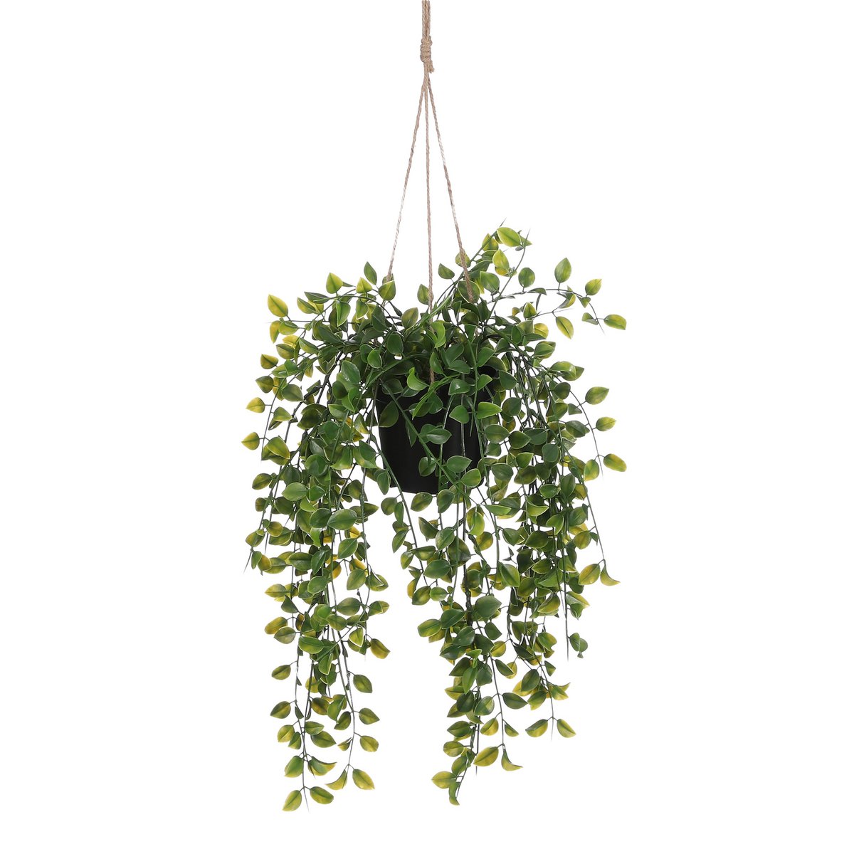 Plante Artificielle Ficus Suspendue en Pot - H46 x Ø20 cm - Vert