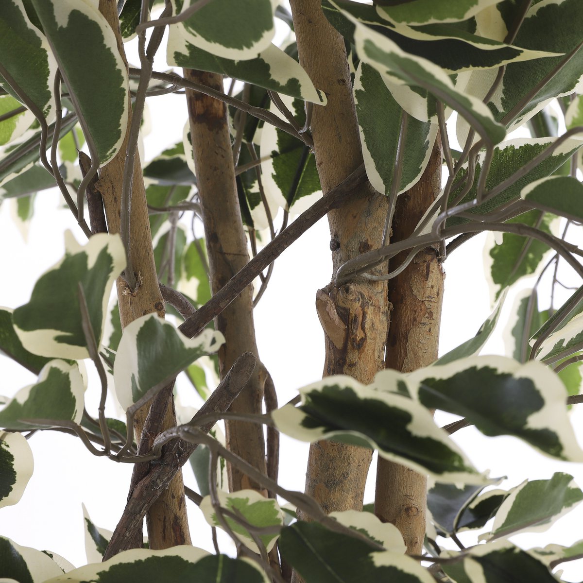 Plante Ficus Artificielle - H110 x Ø70 cm - Panaché Vert