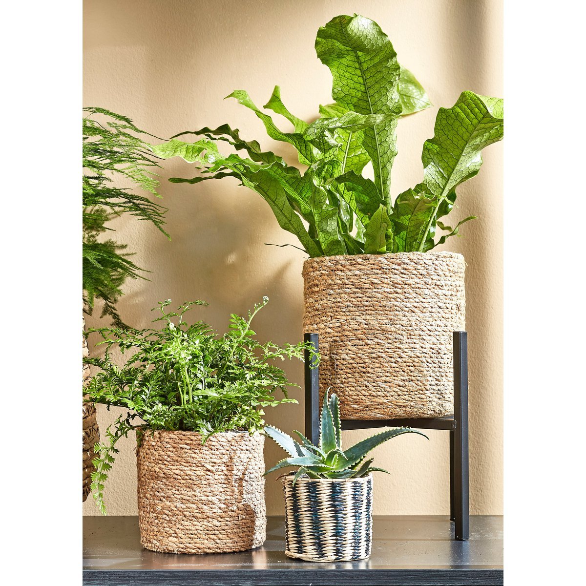 Panier à Plantes Atlantic - Lot de 2 - H20 x Ø20 cm - Jonc de Mer - Marron clair