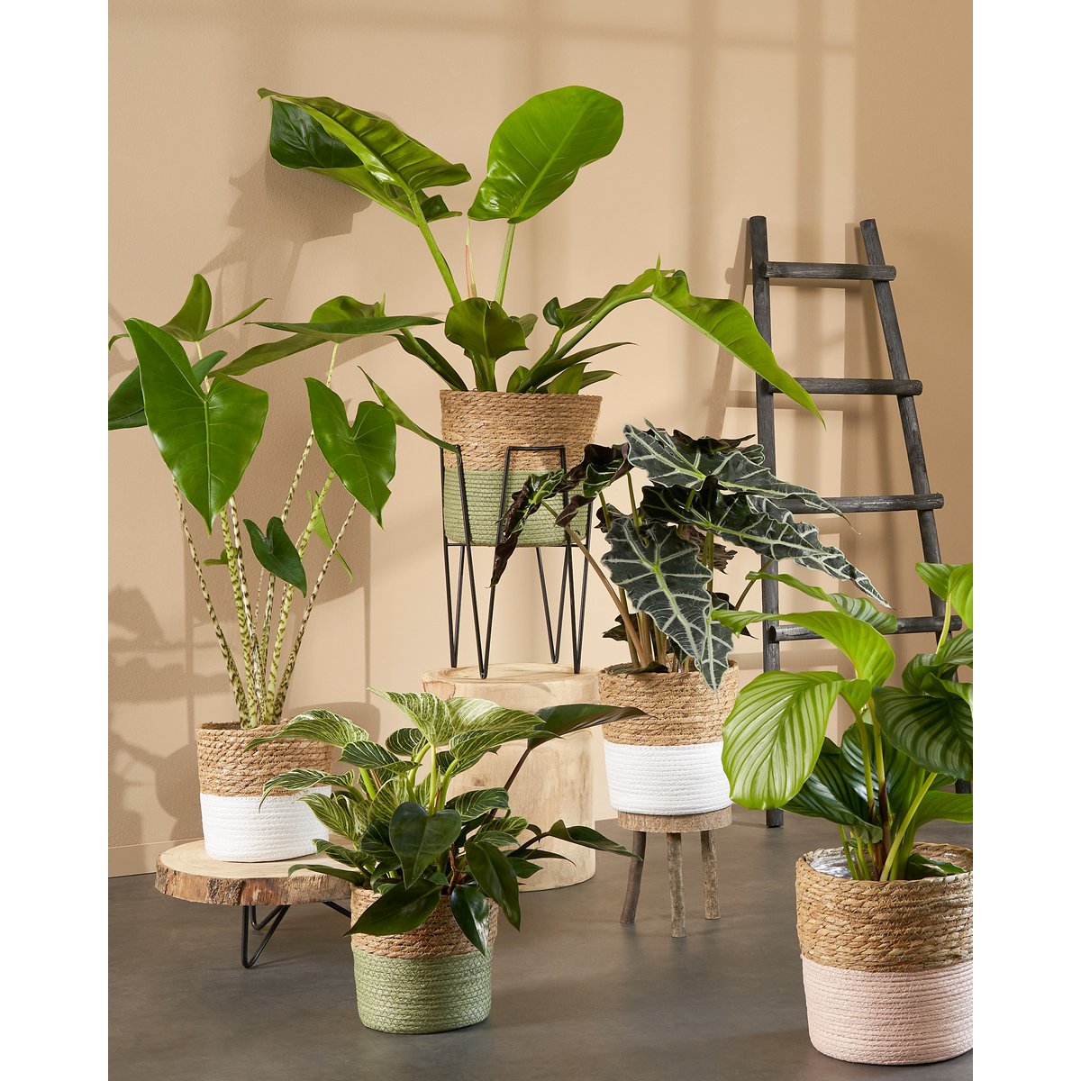 Table d'Appoint Tronc d'Arbre Pia / H14 x Ø40 cm - Marron clair