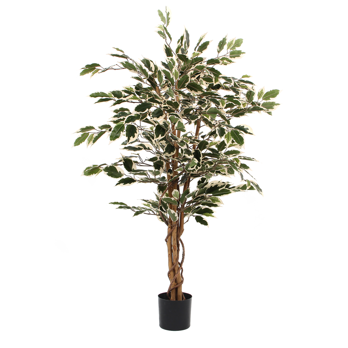 Plante Ficus Artificielle - H110 x Ø70 cm - Panaché Vert