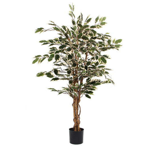 Plante Ficus Artificielle - H110 x Ø70 cm - Panaché Vert