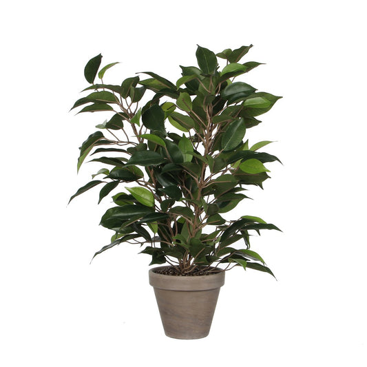 Ficus Natasja Plante Artificielle en Pot de Fleur Stan - H40 x Ø30 cm - Vert