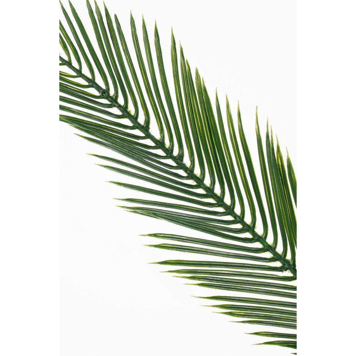 Cycas Palm Art Plant - H150 X Ø100 cm - vert