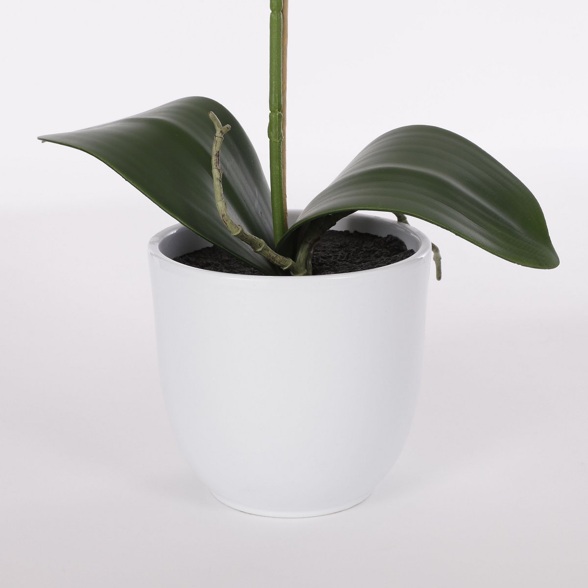 Plante Phalaenopsis Artificielle en Pot de Fleur Tusca - H60 x Ø16 cm - Violet