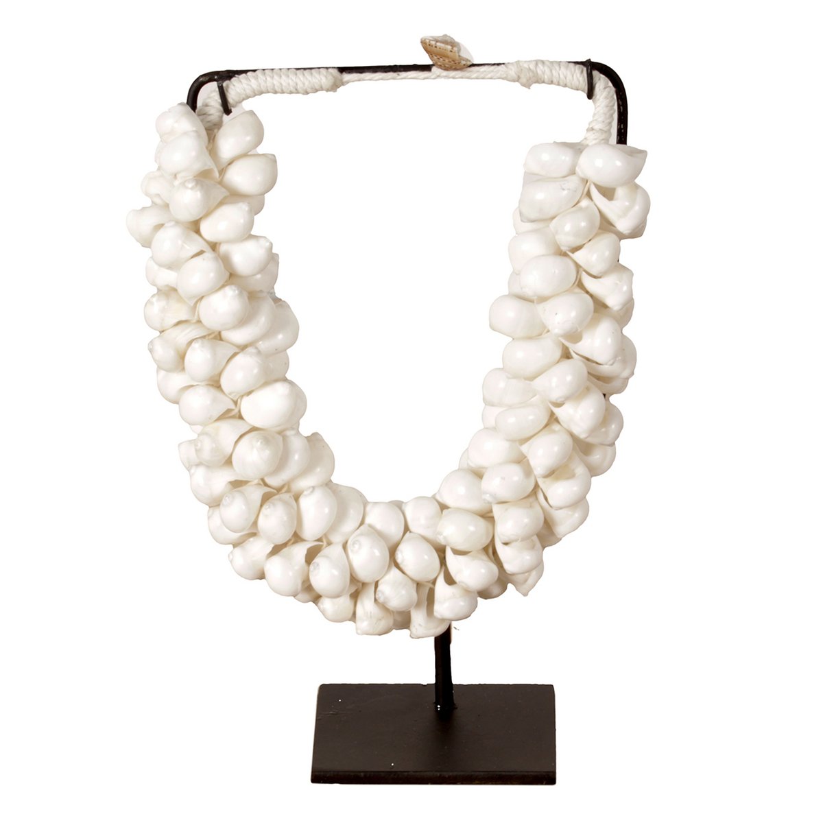 J65 Small Shell Collier