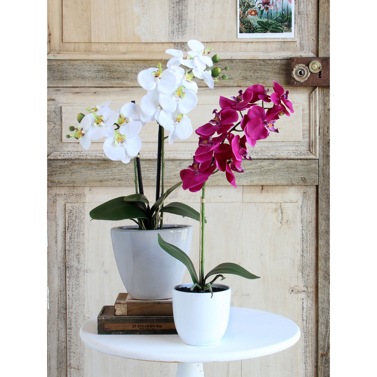 Plante Phalaenopsis Artificielle en Pot de Fleur Tusca - H60 x Ø16 cm - Violet