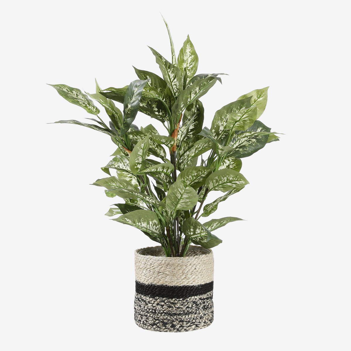 Plante Artificielle Dieffenbachia en Pot de Fleur Stan - H70 x Ø55 cm - Vert