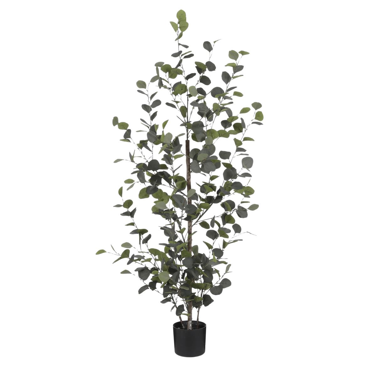 Plante d'Eucalyptus Artificielle en Pot de Fleur - H150 x Ø30 cm - Vert